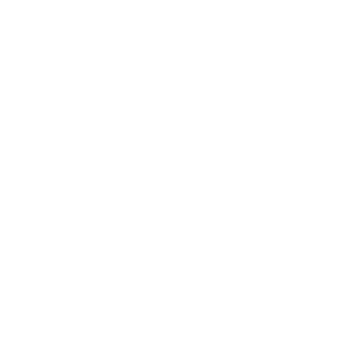Brand Logo - EasyRig