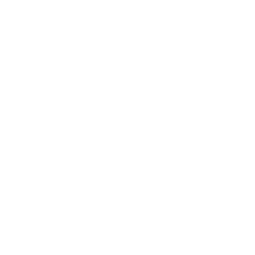 Brand Logo - Hawk