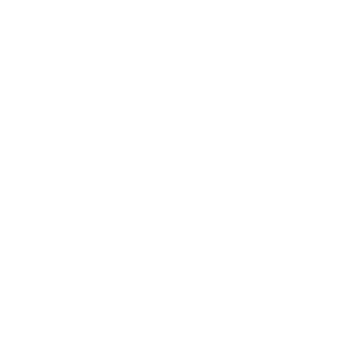 Brand Logo - LightBridge