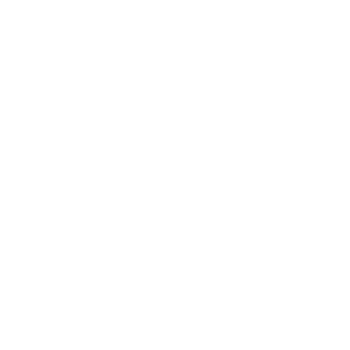 Brand Logo - Tokina