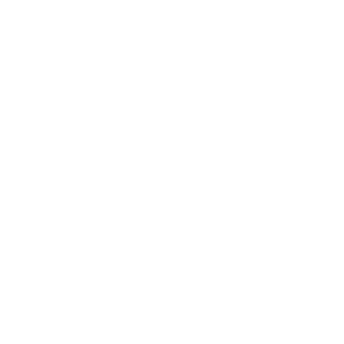 Brand Logo - Wooden Camera